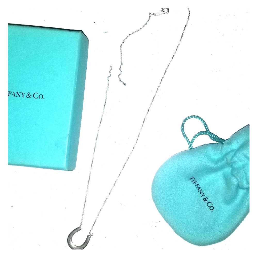 Authentic Tiffany Horseshoe Necklace